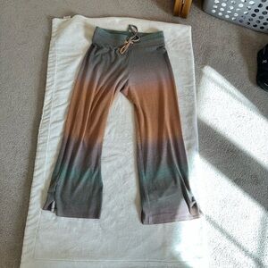 LNA Gradient Sweatpants in Brown and Green